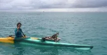 Американка привчила кішку до життя моряка привчила