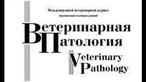 анализ протеини