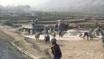 американци капан