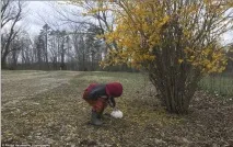 направите начина
