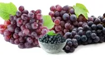 течен концентрат açai