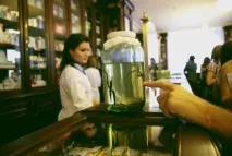 Аптека Пеля та башта грифонів на Василівському у Санкт-Петербурзі грифонів