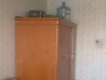 стаи стаи