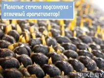 вкус вкус