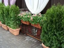 варіант