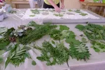 Навіть від вашого настрою залежатиме кінцевий результат. вашого