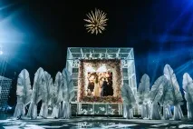 Птахи. Весілля Анни та Сергія птахи