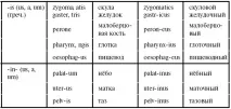 2. Частотні латинські та грецькі суфікси латинські