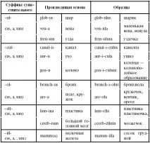 2. Частотні латинські та грецькі суфікси латинські