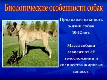 биологични биологични