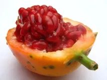 екзотичного