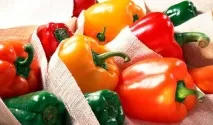 Болгарський перець - користь та шкода для здоров’я, як вибирати, калорійність, рецепти, відео перець