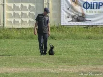 Велика справа маленького рятівника Як харківськатакса досягла міжнародного успіху - Новини харківськатакса