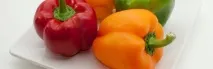 Хвороби перцю посадок