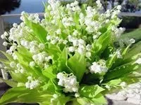 какво