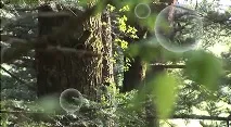 таке