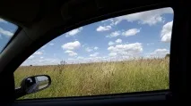 Що повинні знати автомобілісти про алергію та чим вона небезпечна для водіїв вона