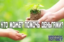 Що приготувати на романтичну вечерю 7 покрокових рецептів вечерю