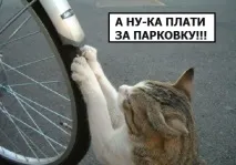 думають