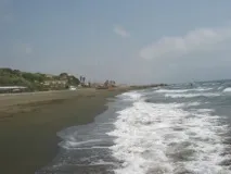 тита