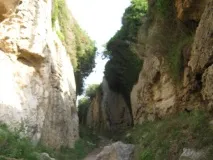 практична