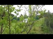 Що можна і що не можна їсти при правильному харчуванні, що можна їсти при цукровому діабеті, а що не можна можна
