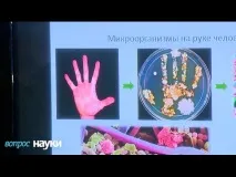 Що можна і що не можна їсти при правильному харчуванні, що можна їсти при цукровому діабеті, а що не можна їсти