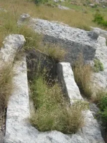 загальна