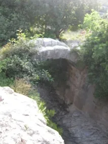 загальна