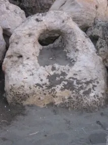 практична