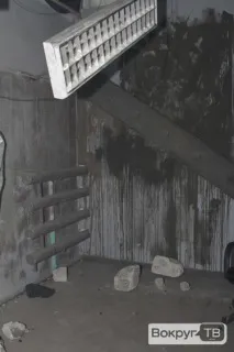 бяха около
