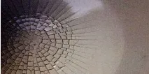 причините