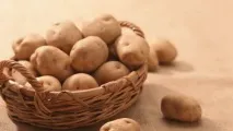 циган циган