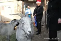 чекали