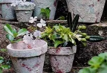 декорування