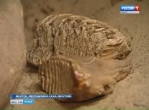 Що зберігає в собі «вічна мерзлота», чи знайшли вчені Якутії відповіді собі