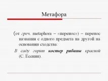 Що таке метафора Функції та різновиди метафори таке
