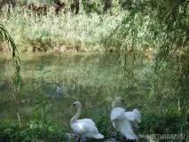 район