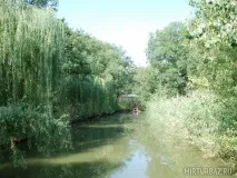 район