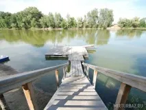 държавен