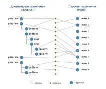 таксономиите таксономиите