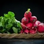 харчування