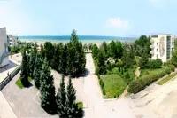 вълна саки