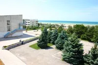 саки вълна