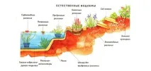 собствените ръце езерце