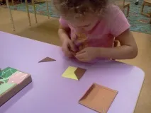 никитините никитините