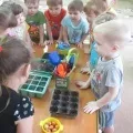 Екскурсія на город овочі