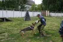 русия русия