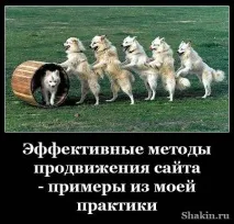 популяризиране уебсайтове