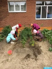 Екскурсія на город город»